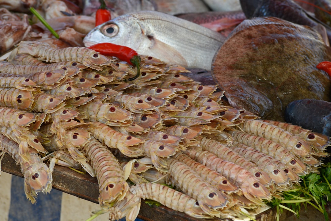 Muttrah Fish Market