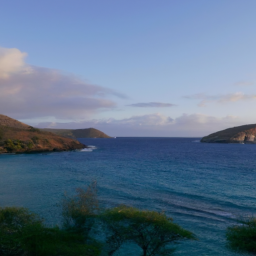 Hanauma Bay Nature Preserve (Oahu)