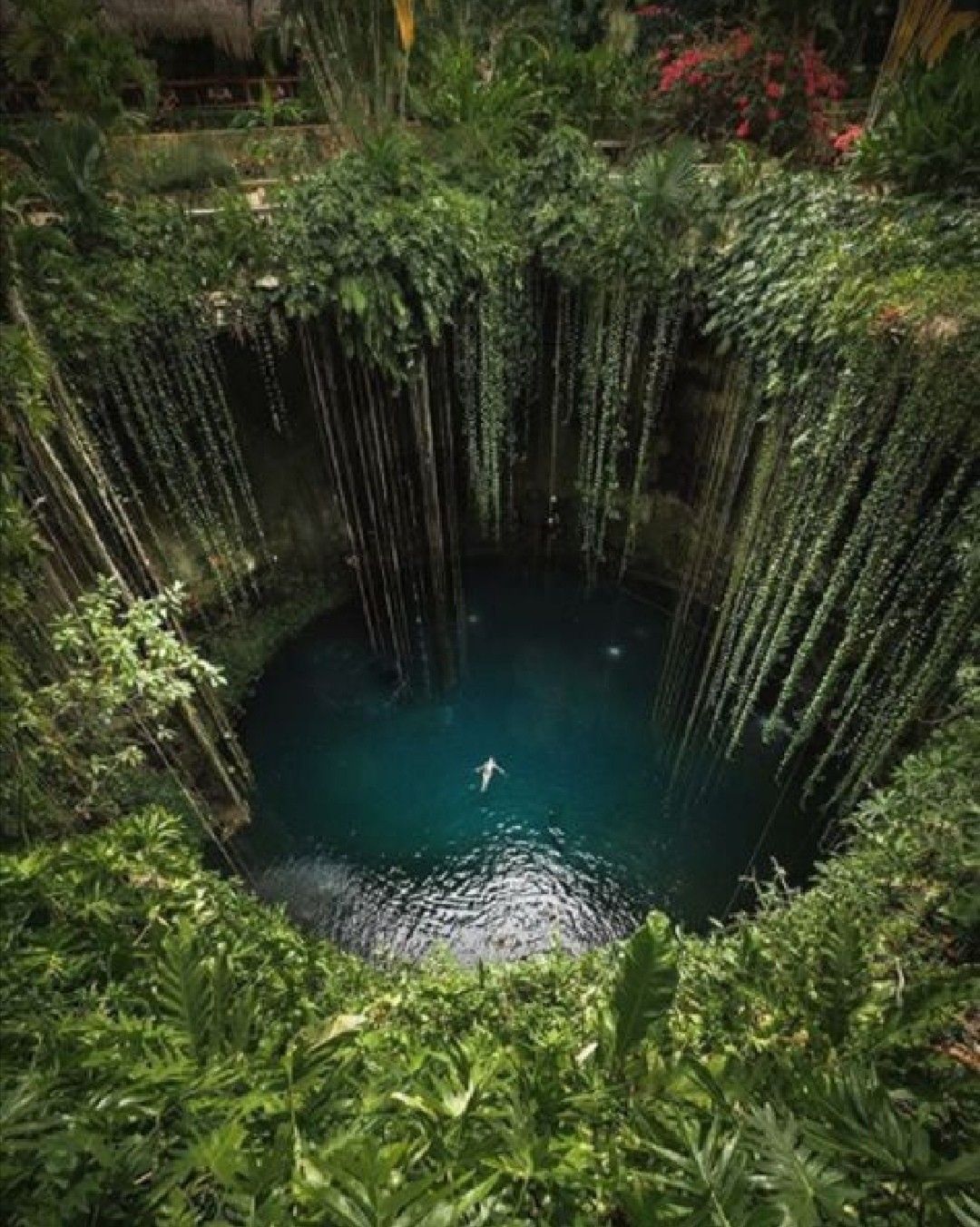 Cenotes of Yucatán Peninsula